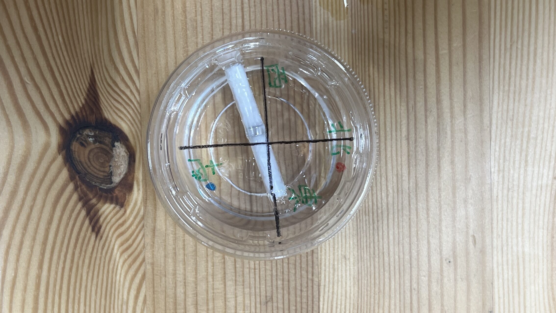 透明なカップの底に「北・南・東・西」と手書きされた手作り方位磁石。水の上に白いストローのような浮きが浮かんでおり、方向を示している。
