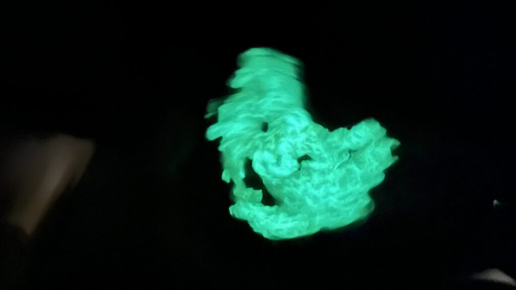 蓄光パウダーで作ったハロウィン飾りが暗闇で光っている様子